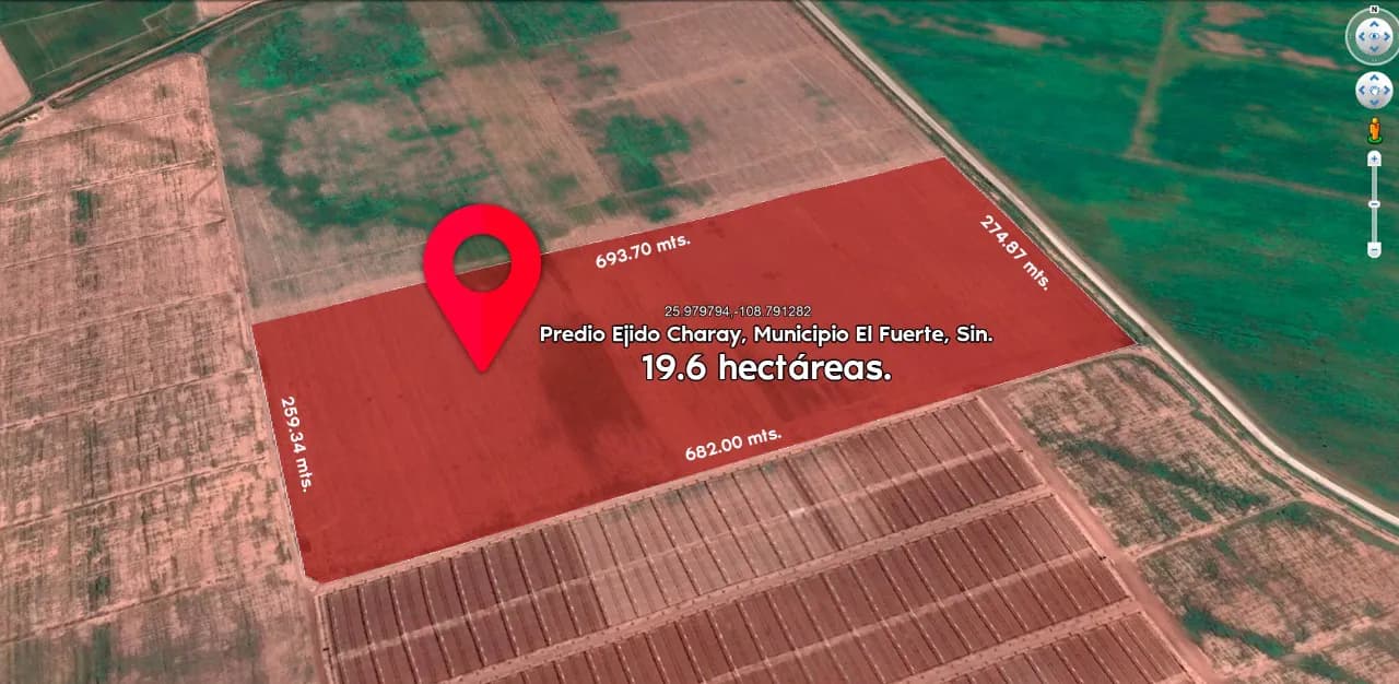 En Renta excelente Predio Agrícola, Charay, Municipio El Fuerte, Sin.
