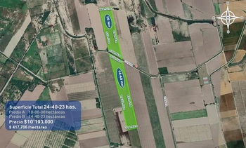 9_2931 | 24.40 HECTAREAS AGRÍCOLAS EN VENTA Ejido Suarez (Campo Gastélum o Cohuibampo), Ahome Sinaloa | GM Inmobiliaria