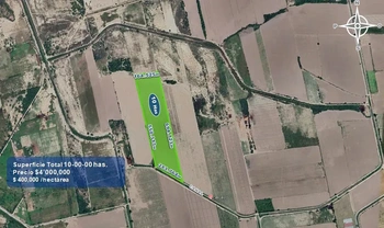 9_2932 | 10 HECTAREAS AGRÍCOLAS Ejido Suarez (Campo Gastelum y Cohuibampo), Ahome Sinaloa | GM Inmobiliaria