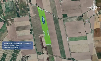 9_2933 | 14.40 HECTAREAS AGRÍCOLAS Ejido Suarez (Campo Gastelum y Cohuibampo), Ahome Sinaloa | GM Inmobiliaria