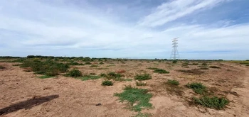 13_3124 | En Venta excelente Predio Agrícola, Ejido Mochis. | GM Inmobiliaria