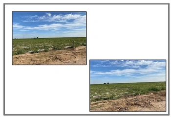 14_2270 | TERRENO RUSTICO PREDIO SANTA ROSA | GM Inmobiliaria
